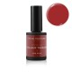 RED STAR - VERNIS PERMANENT